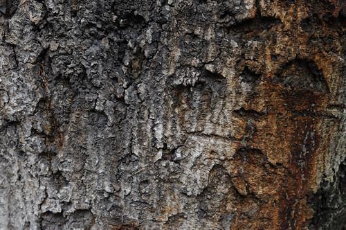 【全画幅单反 尼康D700与佳能5D对比评测】-