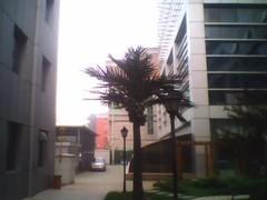 ���׽��CECT˫��˫���ֻ�C5000����(7)