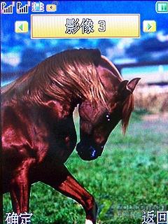 ���׽��CECT˫��˫���ֻ�C5000����(4)