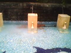 ���׽��CECT˫��˫���ֻ�C5000����(7)