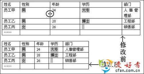 MSWord表格必杀技学习(2)