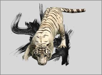 Photoshop̳̣ϻƬתΪˮī(2)