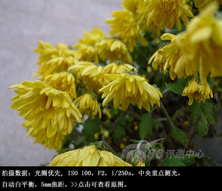 洞察黑暗的徕卡超广角松下LX3相机评测(12)