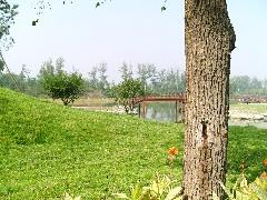中国首款高清录制爱国者T1200详尽评测(10)