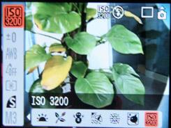 A系列的革新佳能新品A1000IS评测(5)