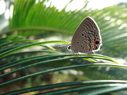 名器的成熟 高端数码相机佳能G10评测(7)_数码