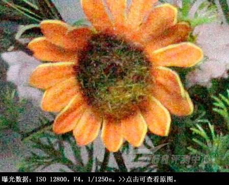 从细节处呈现美丽佳能单反EOS50D评测(8)