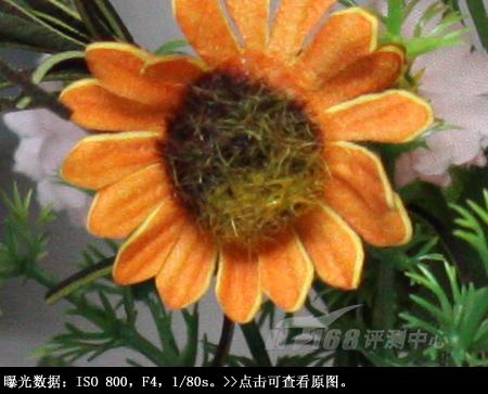 从细节处呈现美丽佳能单反EOS50D评测(8)