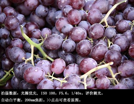 从细节处呈现美丽佳能单反EOS50D评测(10)