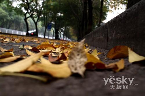 一镜走天下佳能强悍指标EOS50D评测(6)