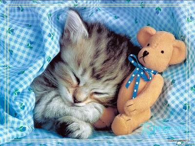 �����һ������ʵ�üҵ��Ʒȫ�Ƽ�