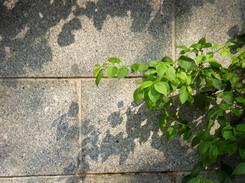 不一样的潮流风尚DC5x光变三星蓝调NV9详细评测