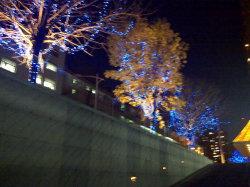 �ʿ����Ļ�ŵ����ȫ��ֱ����N79����(12)
