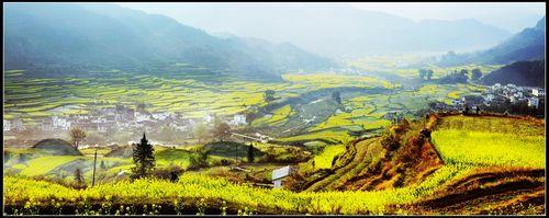 ������԰ʫ����Դ����5D��Ӱ��Ʒ��(4)