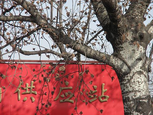 新添美颜功能奥林巴斯7X光变μ7000评测(6)