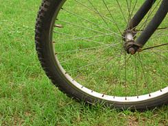 高速连拍便携长焦优秀理光CX1详尽评测(13)