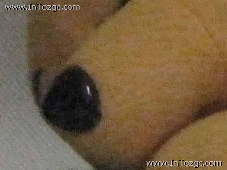 光影随行走一路入门级佳能A1100IS评测(4)