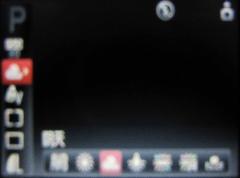 光影随行走一路入门级佳能A1100IS评测(3)