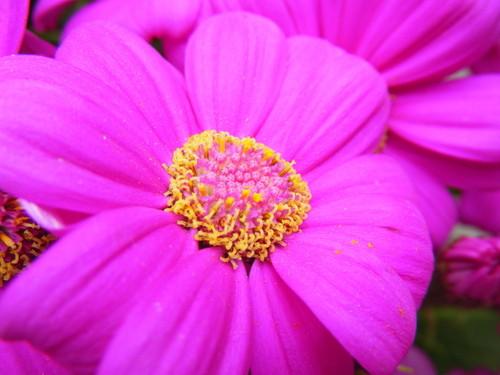 高性价比粉红潜艇 防水DC富士Z33WP评测-富