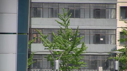 双闪存DV机皇 高画质佳能HFS10功能评测(6)_