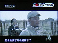 ˫ֻM609ϸ(4)