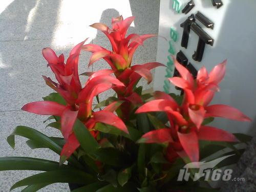 �ջ�ĺ��������ʱ���ֻ�M610����(5)