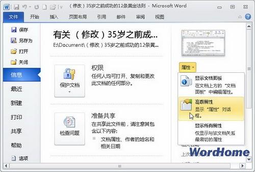 ��Word2010���Զ���Word�ĵ�������Ϣ
