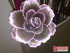 500万像素诺基亚触屏X6拍摄功能体验(4)