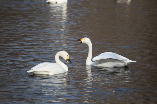 ISO十万+10fps连拍 佳能1D Mark IV评测_数码