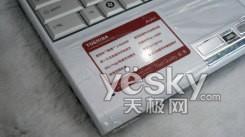 485266751.jpg