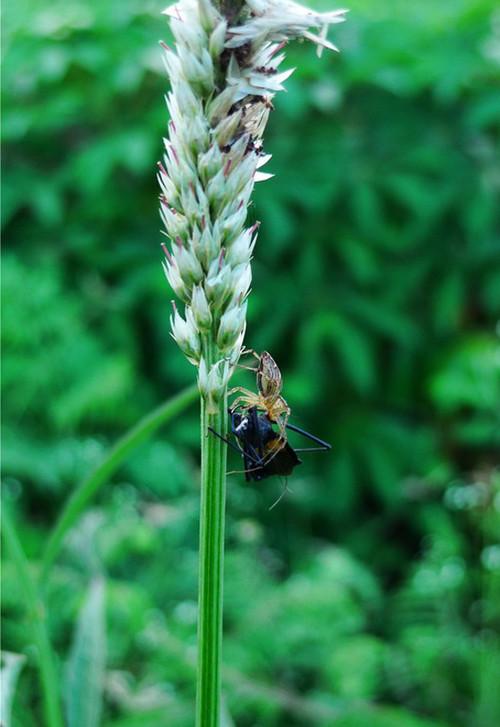 清明三天去哪玩 适用各类旅游景点DC推荐(6)_