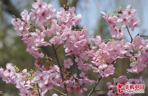 ŵ����Ovi��ͼʵ�� ��һ��Ԩ̶���м� 