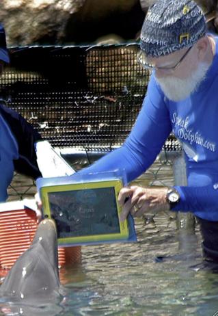 iPad打入动物界 训练师用来与海豚交流_笔记本