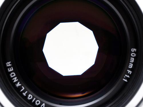 绝美散景徕卡M9搭载50mmF1.1样张测试