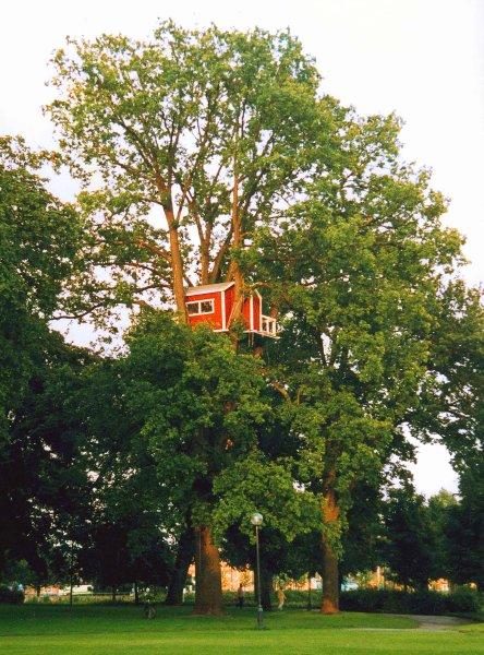 ����������������ù����ο�����ͯȤ(ͼ)(2)