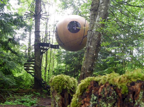 ����������������ù����ο�����ͯȤ(ͼ)