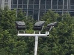 ���ŵ���PK�῵D3100/����550D�Ա�����(9)