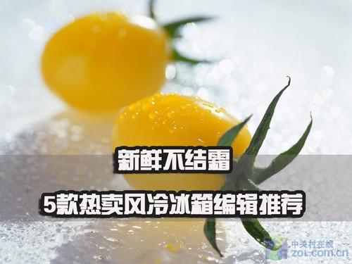 冬季更轻松5款热门无霜冰箱推荐