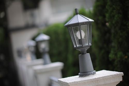 佳能 佳能 EF 85mm f/1.2L II USM 样张图