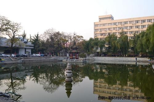 尼康D3100