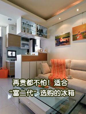再贵都不怕适合富二代选购的冰箱