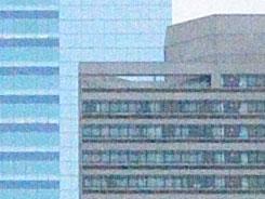 ���ŵ������῵D3100/����550D�Ա�����(6)