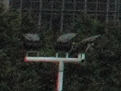 ���ŵ������῵D3100/����550D�Ա�����(6)