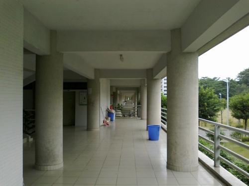 多媒体性能和500万像素摄像头