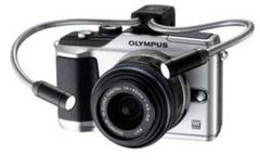 �������ʻ�����۸���