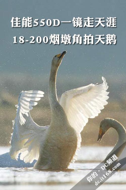 һ�����μ���550D��18-200�̶ս������