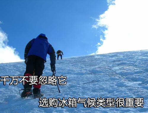 千万别忽略它选购冰箱气候类型很重要