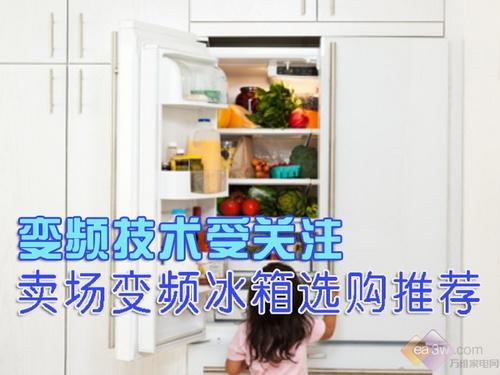 变频技术受关注 卖场变频冰箱选购推荐