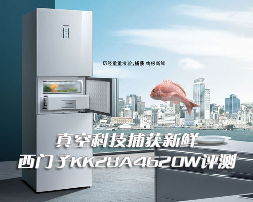 ��տƼ���������������KK28A4620W����