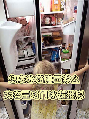 您家冰箱肚量够么大容量对开门冰箱推荐